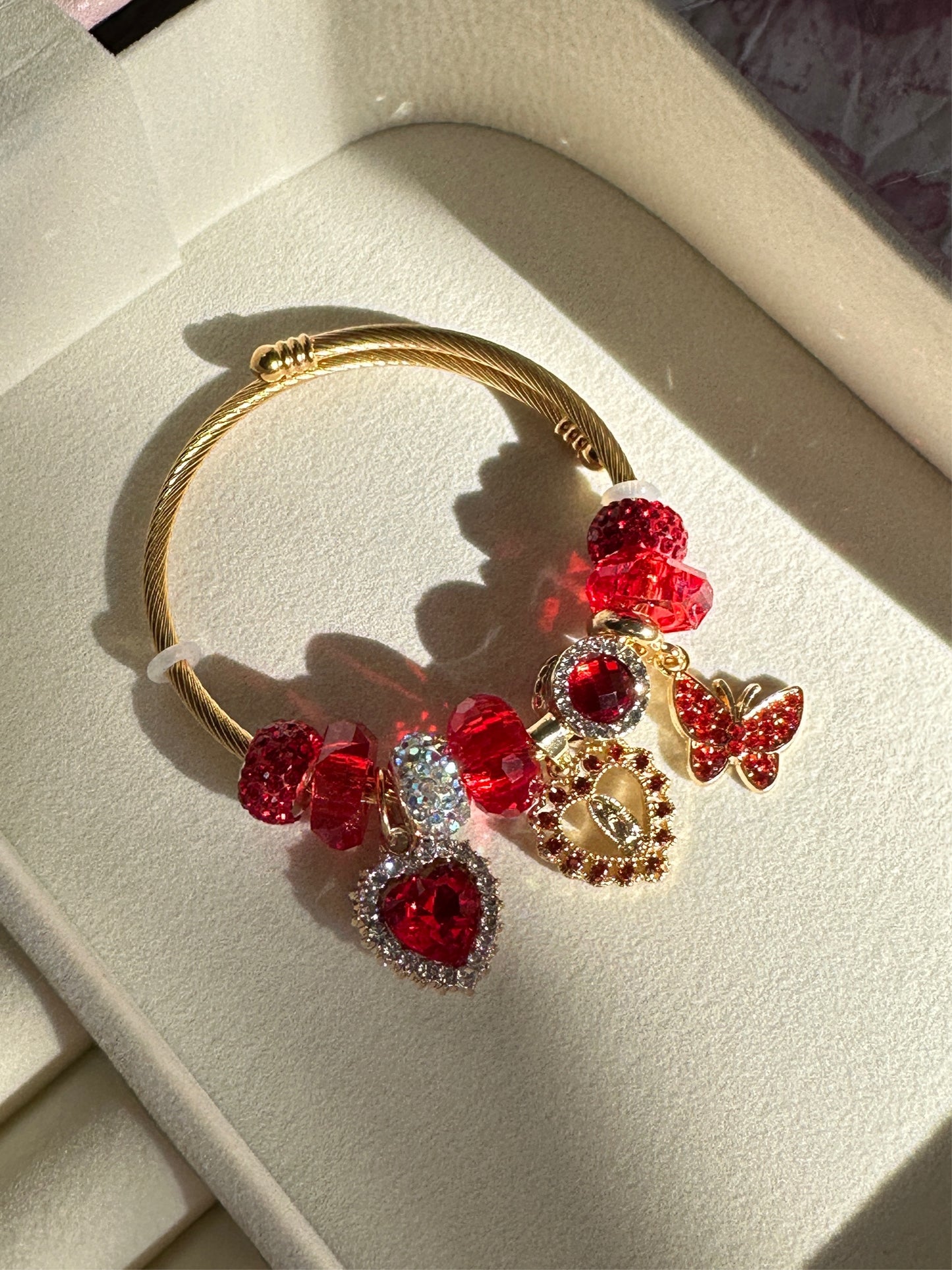 Red Virgen CB